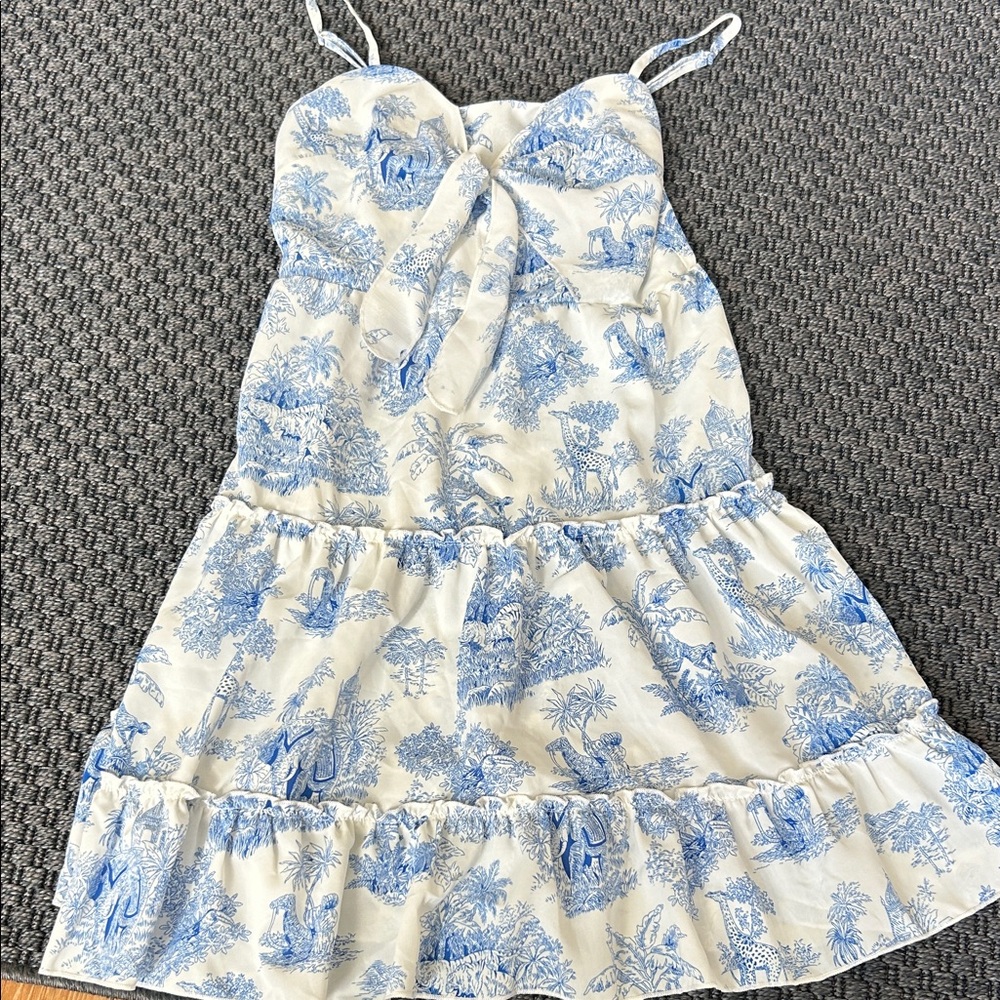Blue and White Dress